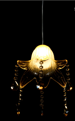 lotus hanging 